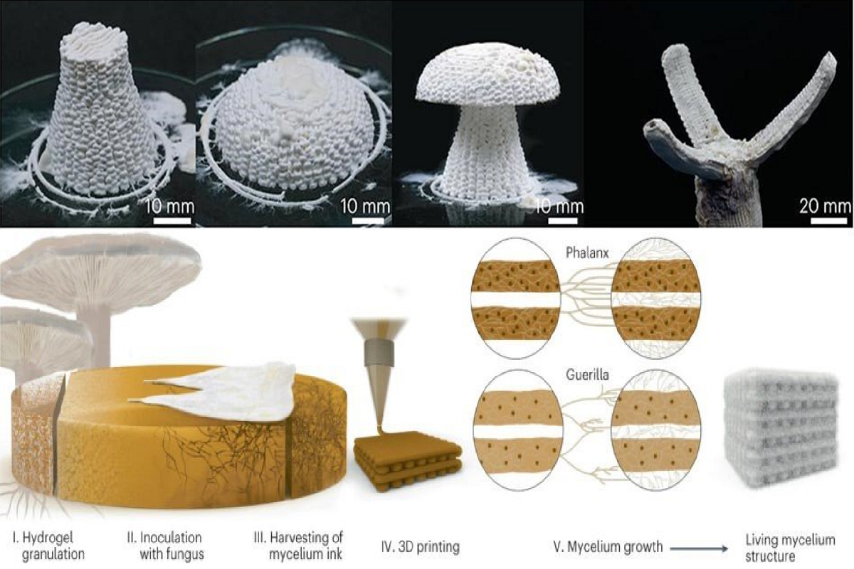 上図：菌を混ぜて3Dプリントしたロボットの皮膚　下図：3Dプリントするプロセス　出典：論文「Three-dimensional-printing-of-mycelium-hydrogels-into-living-complex-materials」
